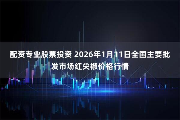 配资专业股票投资 2026年1月11日全国主要批发市场红尖椒价格行情
